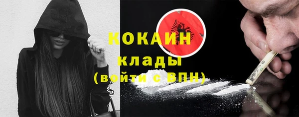 мдпв Богданович