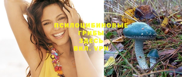 прущая мука Бронницы