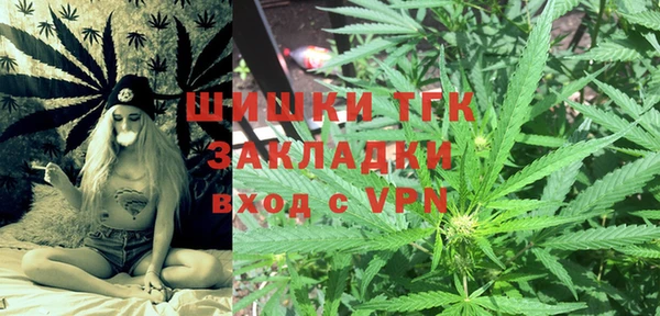 мдпв Богданович