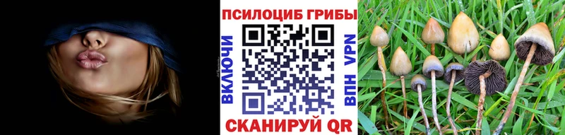 Псилоцибиновые грибы прущие грибы  Котельниково 